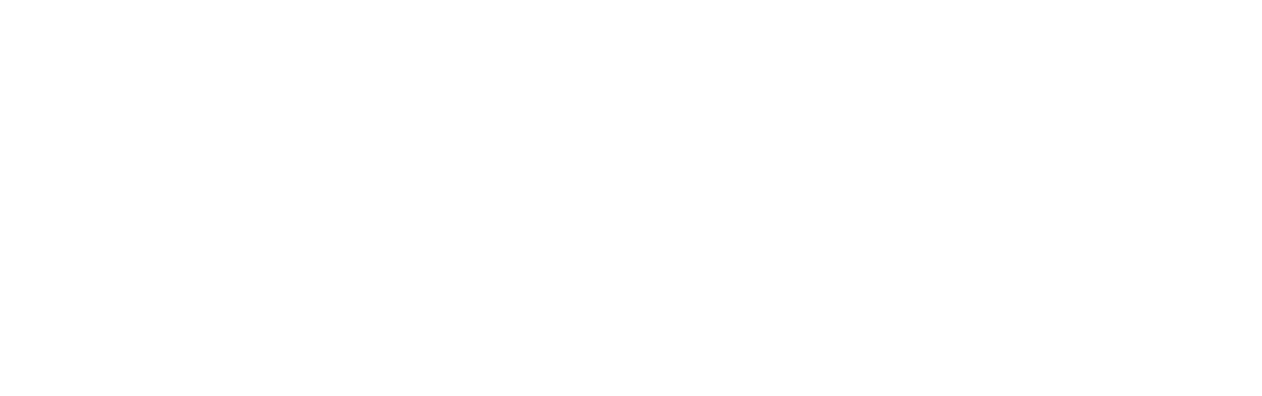 Logo naymspace